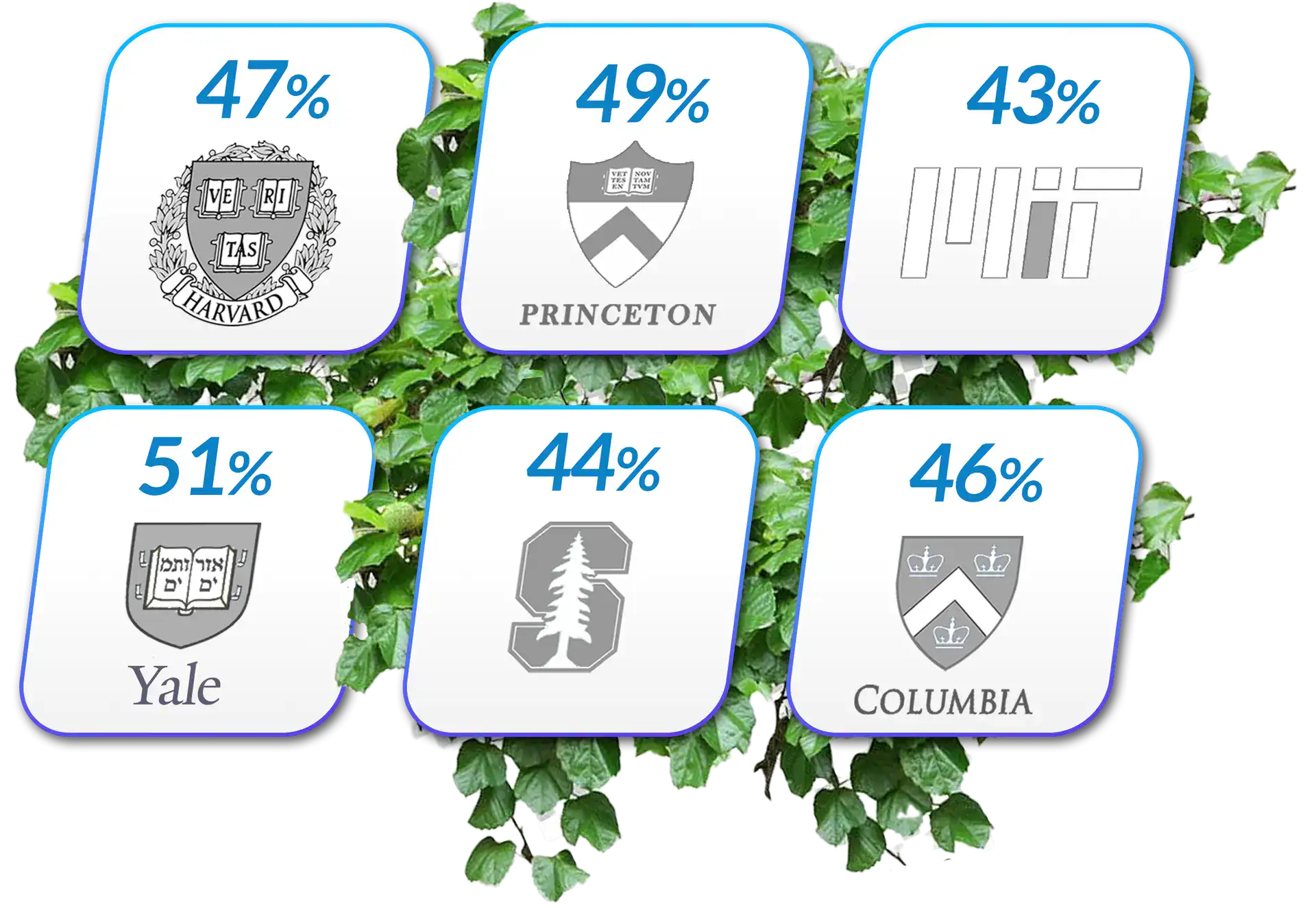 Ivy+ admissions statistics tiles